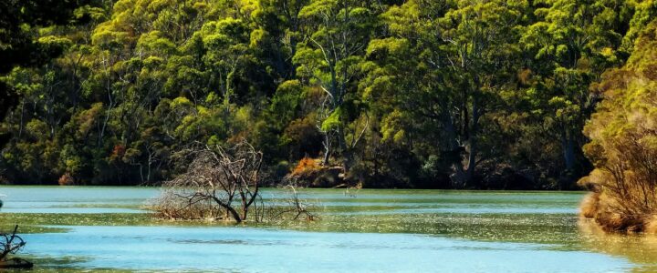 A Beautiful Spot to enjoy holiday A Beautiful Spot to enjoy holiday